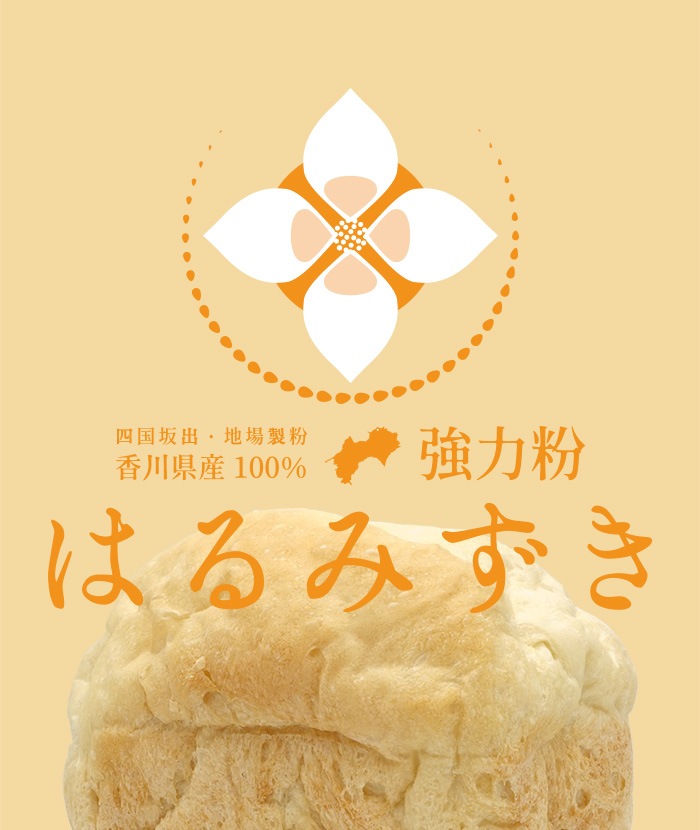 香川県産小麦100%使用　強力小麦粉「はるみずき」新発売